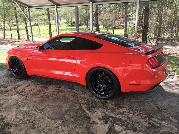 Post Your Best picture Mustang 2015-image.jpeg