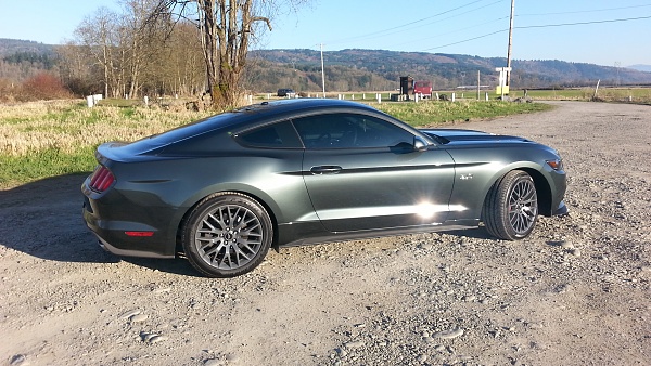 Post Your Best picture Mustang 2015-20150307_163207.jpg
