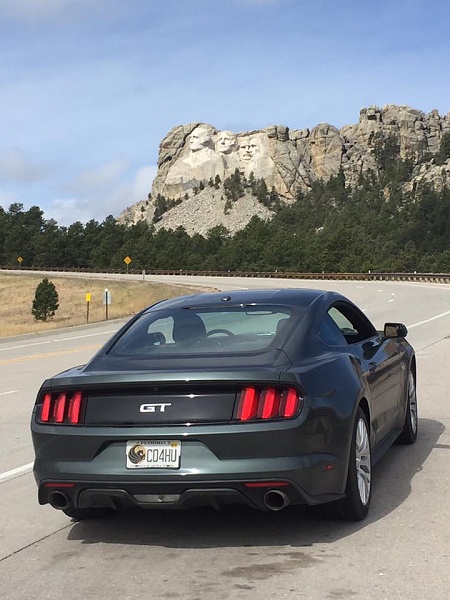 Post Your Best picture Mustang 2015-177.jpg