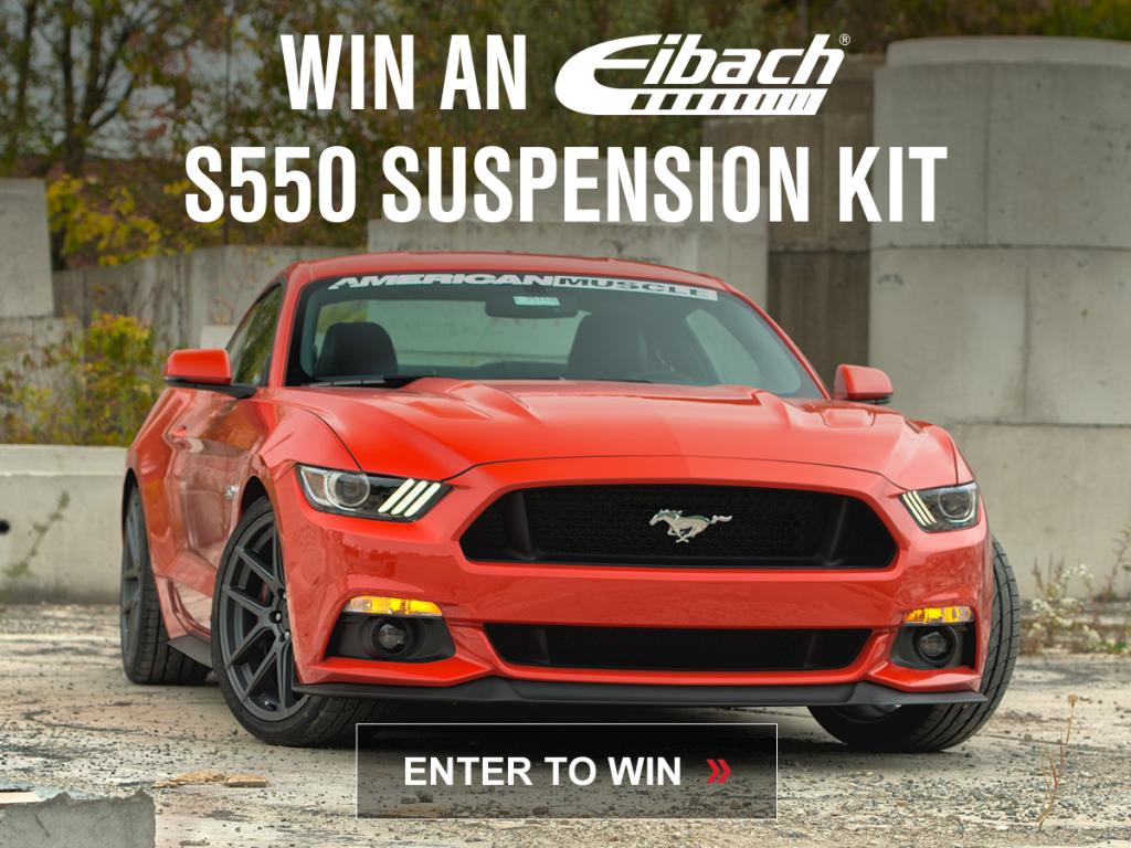 Name:  Forum-800x600_zpsad80e869.jpg
Views: 38
Size:  119.6 KB