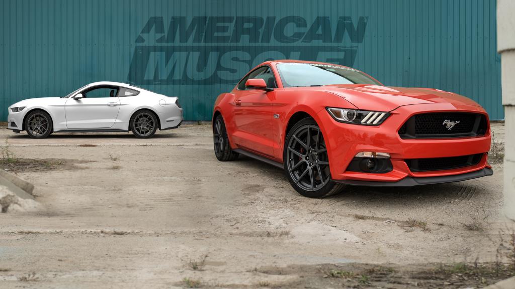 Name:  AMGoogleGraphic_zps4d1c052a.jpg
Views: 189
Size:  84.5 KB