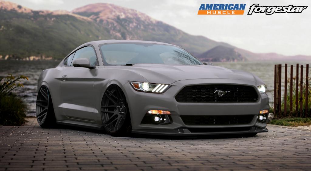 Name:  forgestar-2015-ford-mustang-americanmuscle_zpse2a22cf5.jpg
Views: 1632
Size:  69.6 KB