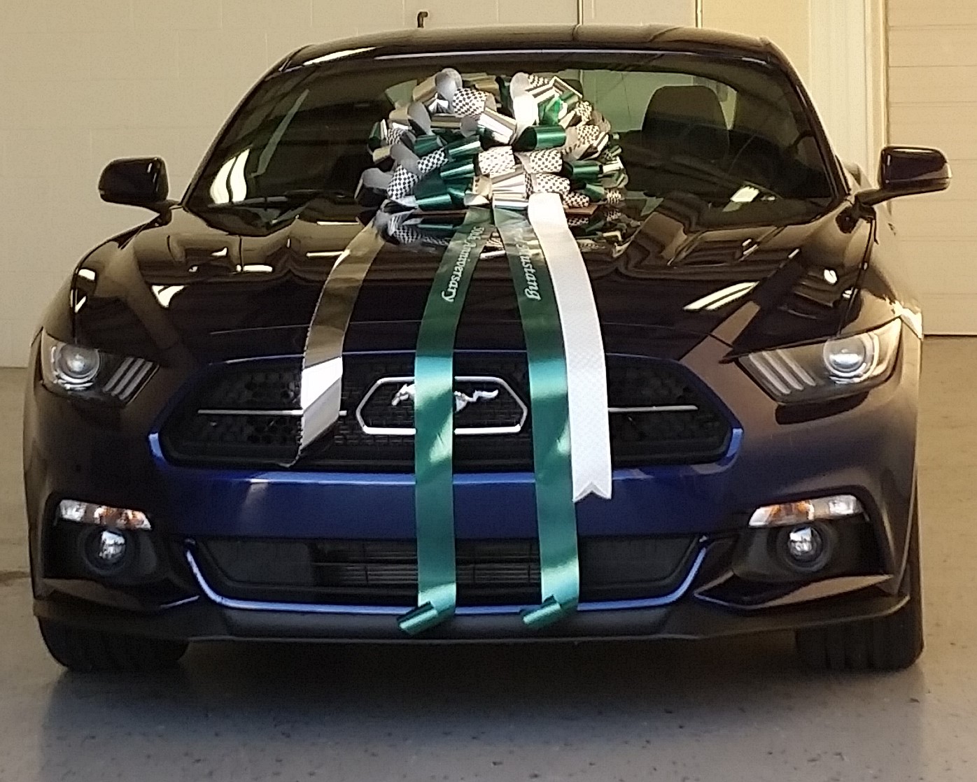 Name:  TmR0558.jpg
Views: 23
Size:  333.2 KB