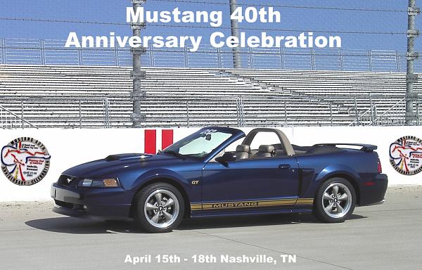 What Color do you Want?-mystang-copy.jpg