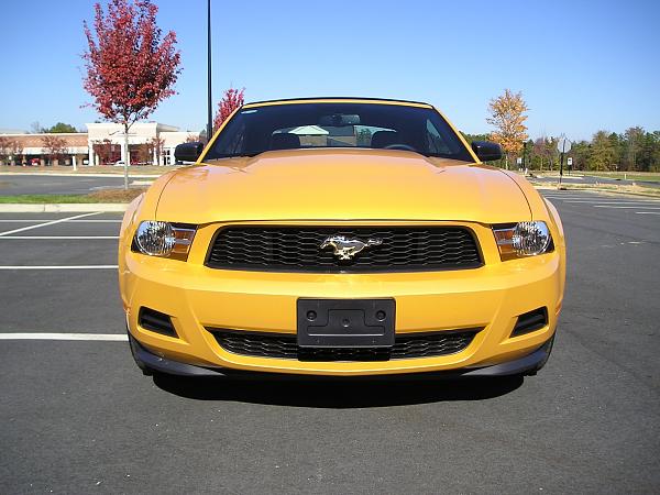 Ford mycolor yellow #4