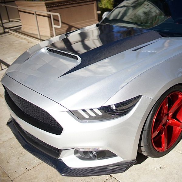 Carbon Fiber body kit for 15-16 Mustang-18016110.jpg