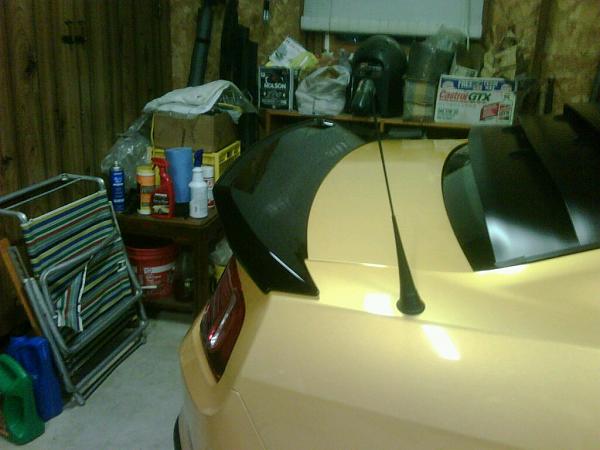 What does the hive think of this wing?-wing.jpg