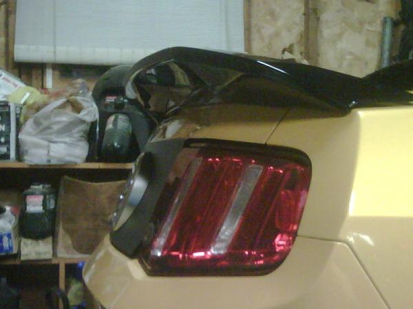 What does the hive think of this wing?-wing2.jpg