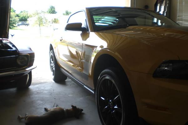 Random pics of your Boss 302-cimg2051.jpg