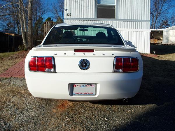 Opinion Please...-december-2008-b-082.jpg