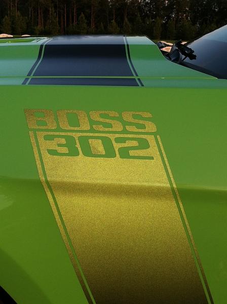 Random pics of your Boss 302-img_0206.jpg