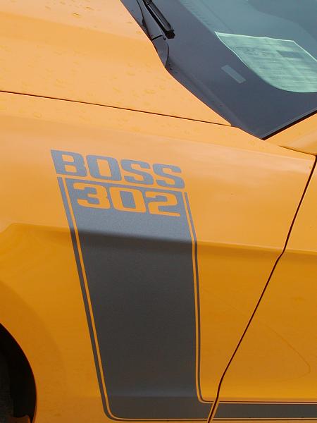 Random pics of your Boss 302-p1010018.jpg