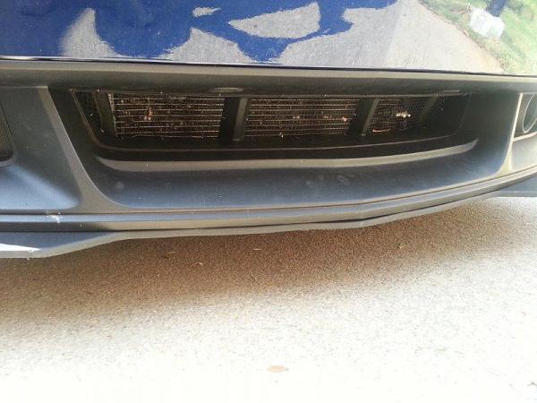 Front brake ducting and lower bumper grill insert-lower-grill.jpg