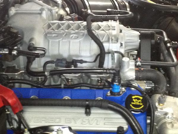 Dealership asked if interested in 2013 gt500-image-801453581.jpg