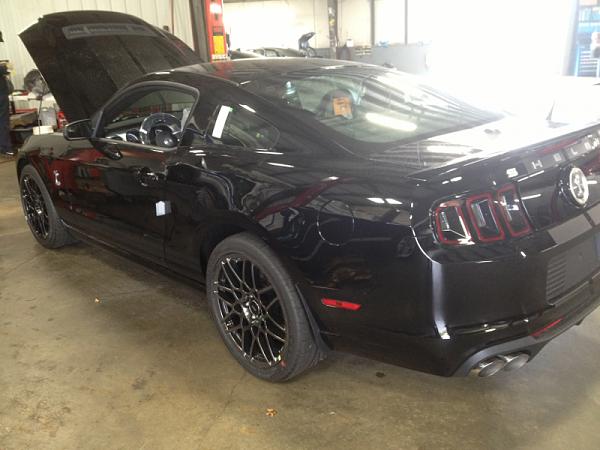 Dealership asked if interested in 2013 gt500-image-1519514376.jpg
