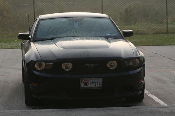 Are you Mustang guys and gals...or-hers.jpg