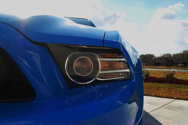 A Few Pictures of Quorra....-boss11.jpg