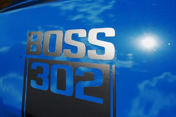 A Few Pictures of Quorra....-boss4.jpg