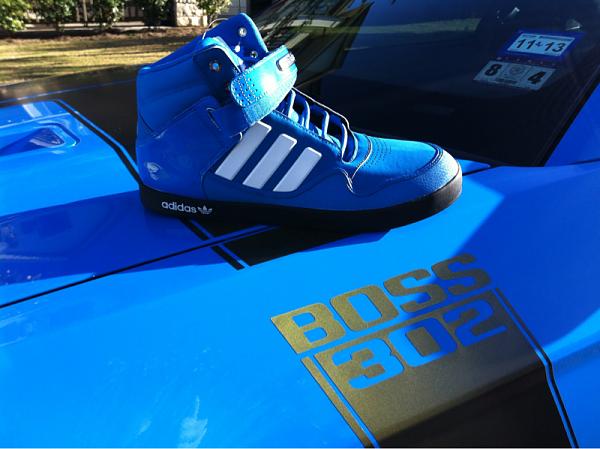 Sweet Grabber Blue Adidas-image-1405277477.jpg