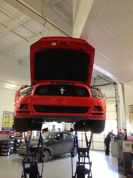 What have you done to/with your Boss 302 this week?-image-2103325367.jpg