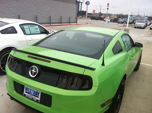 Looking to buy got to have it green in Dallas-img_3628-1-.jpg