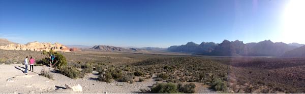 What have you done to/with your Boss 302 this week?-image-1846192665.jpg