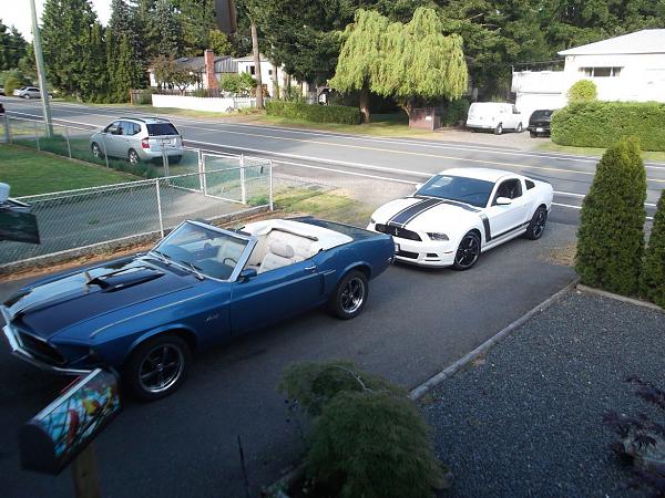 ALLMOST A PAIR-2-stangs.jpg