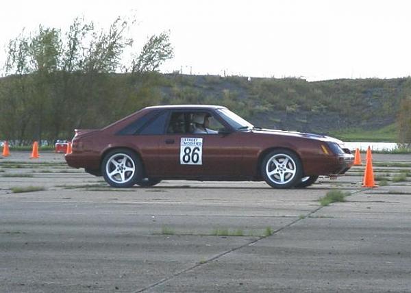 Track Day Devastation-sm86mustang.jpg