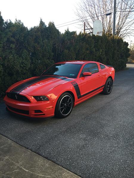 What have you done to/with your Boss 302 this week?-photo487.jpg