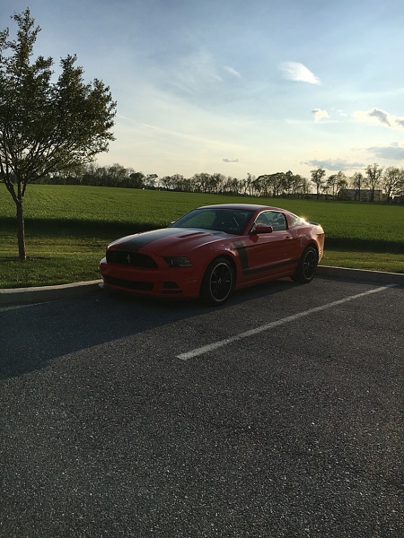 What have you done to/with your Boss 302 this week?-photo351.jpg