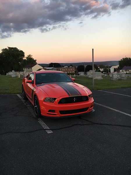 What have you done to/with your Boss 302 this week?-photo107.jpg