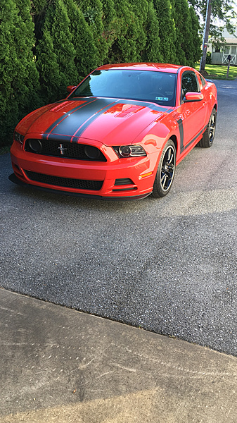 What have you done to/with your Boss 302 this week?-photo12.jpg