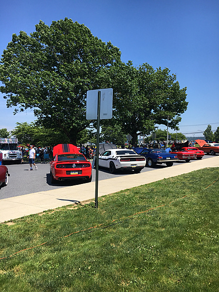 What have you done to/with your Boss 302 this week?-photo861.jpg