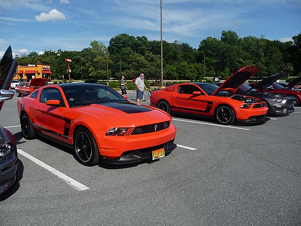 What have you done to/with your Boss 302 this week?-twins.jpg