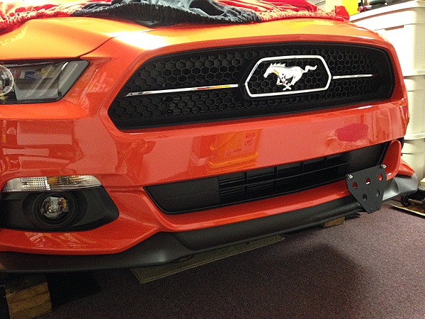 What have you done to/with your Boss 302 this week?-img_0799.jpg