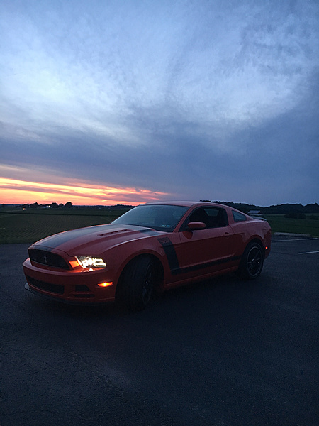 What have you done to/with your Boss 302 this week?-photo126.jpg