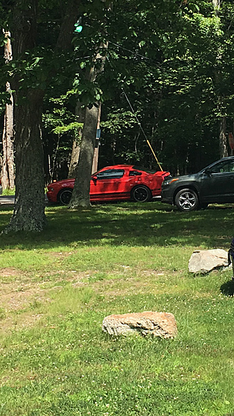 What have you done to/with your Boss 302 this week?-photo690.jpg