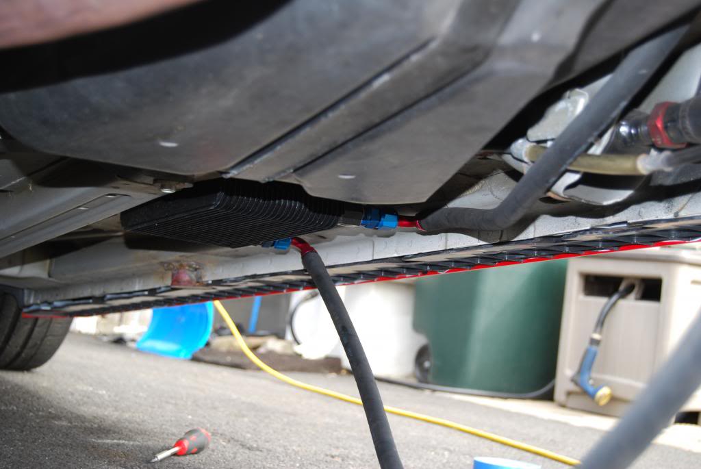 Name:  DSC_0006-1_zps522eac4a.jpg
Views: 132
Size:  66.4 KB