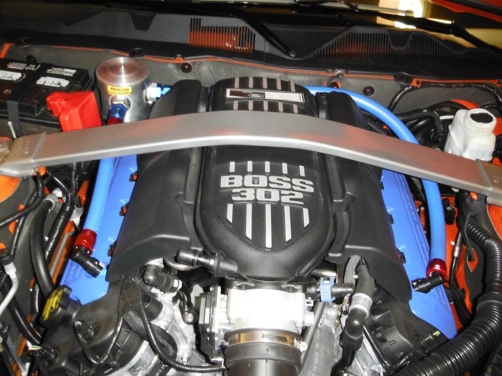 Name:  DSCF9056_zpsca4f3a25.jpg
Views: 129
Size:  110.9 KB