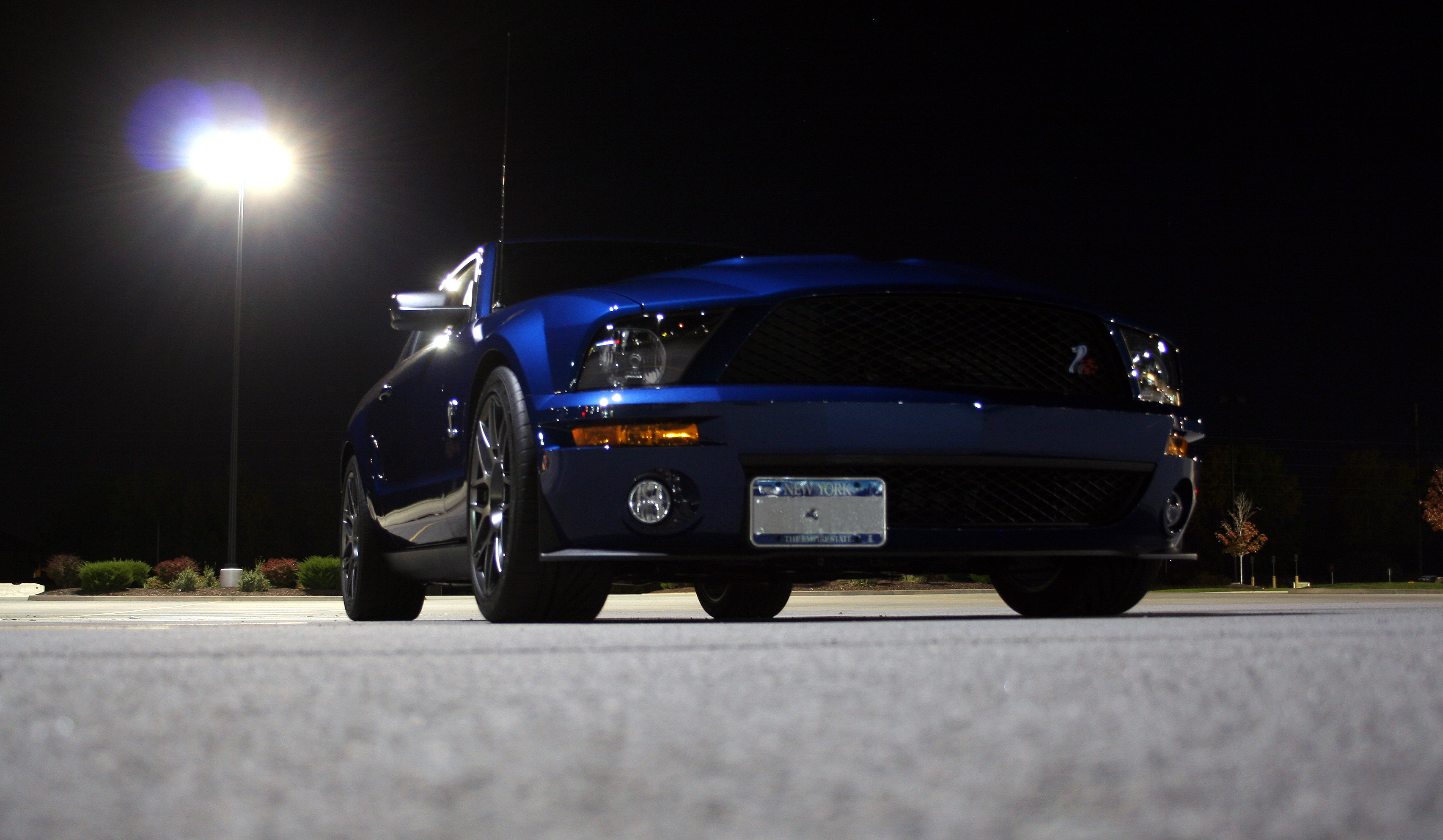 Name:  IMG_9846.jpg
Views: 1130
Size:  1.41 MB