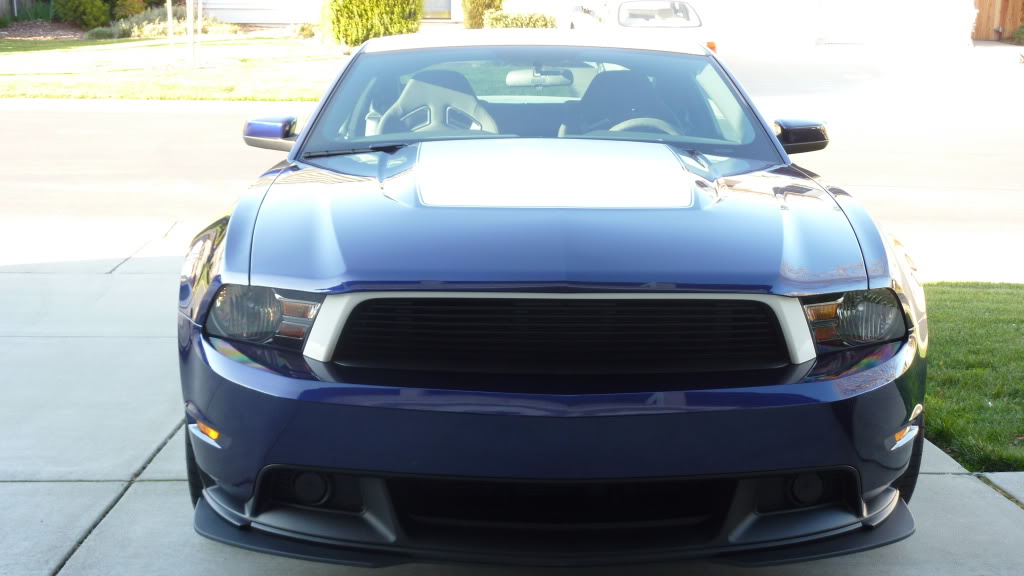 Name:  P1030042.jpg
Views: 80
Size:  71.7 KB