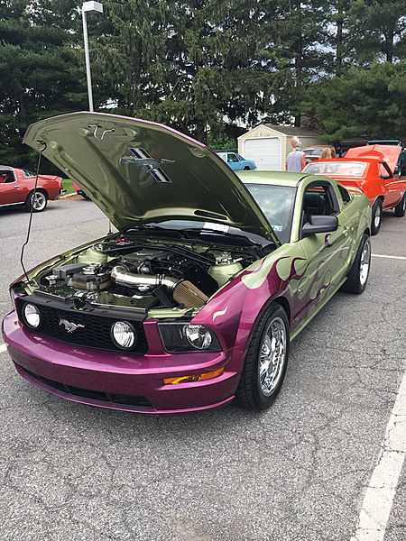 What have you done to/with your Boss 302 this week?-photo697.jpg