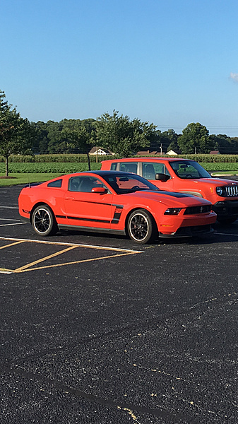 What have you done to/with your Boss 302 this week?-photo668.jpg