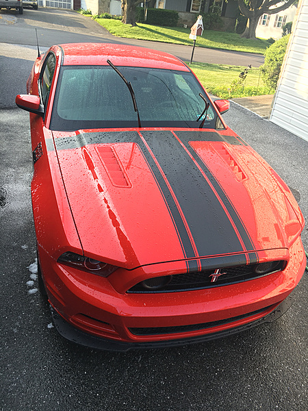 What have you done to/with your Boss 302 this week?-photo146.jpg