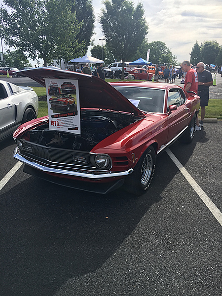 What have you done to/with your Boss 302 this week?-photo887.jpg
