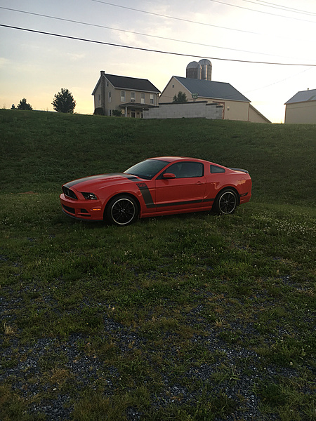 What have you done to/with your Boss 302 this week?-photo159.jpg