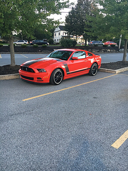 2013 Boss 302 Mustang Freak-photo769.jpg