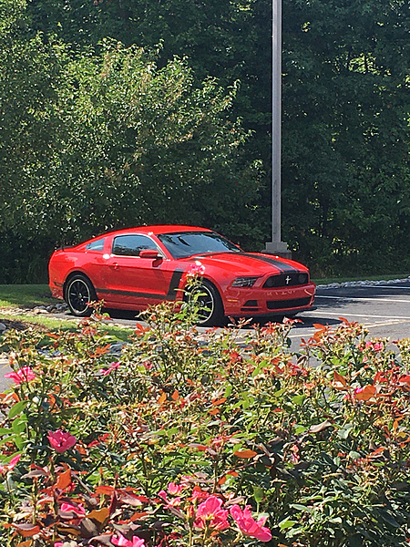 2013 Boss 302 Mustang Freak-photo242.jpg
