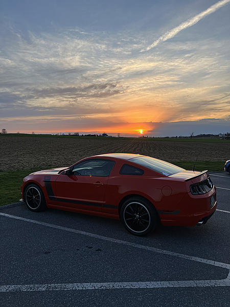 2013 Boss 302 Mustang Freak-photo333.jpg