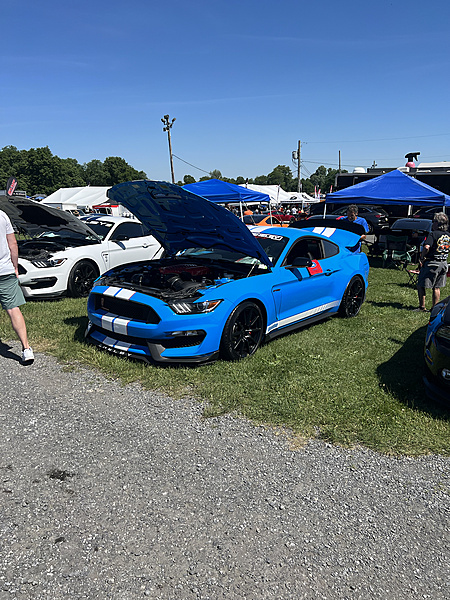 2013 Boss 302 Mustang Freak-photo494.jpg